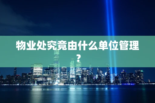物业处究竟由什么单位管理？