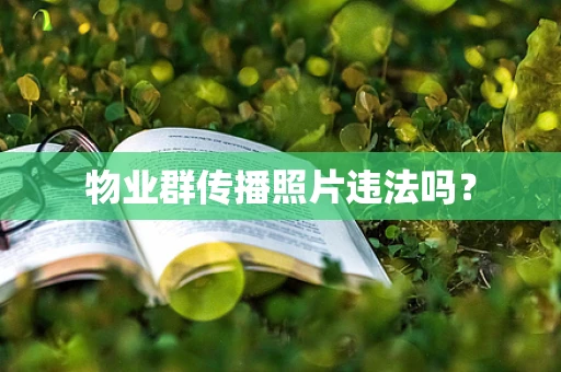 物业群传播照片违法吗？