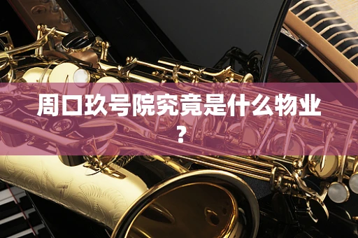 周口玖号院究竟是什么物业？