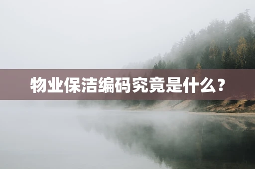 物业保洁编码究竟是什么？