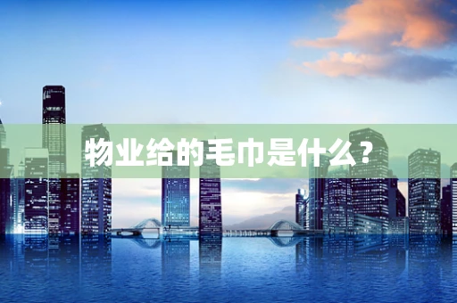 物业给的毛巾是什么？