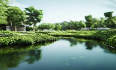 融创物业究竟是什么样的企业？